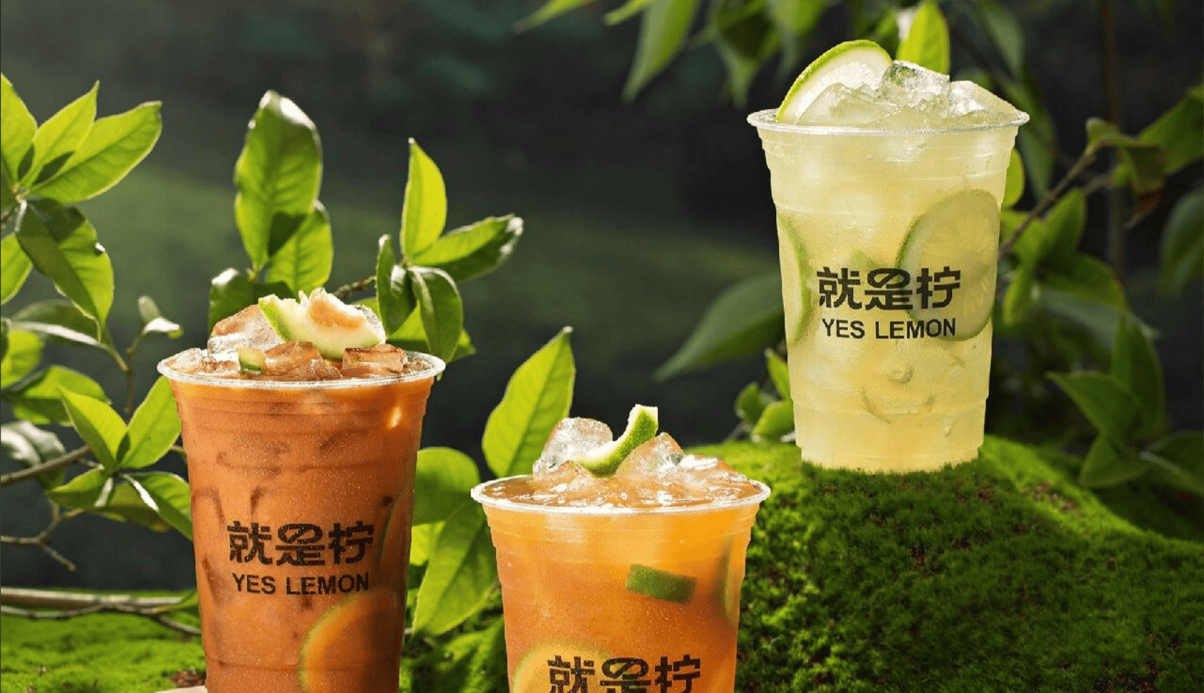 就是柠手打柠檬茶加盟费
